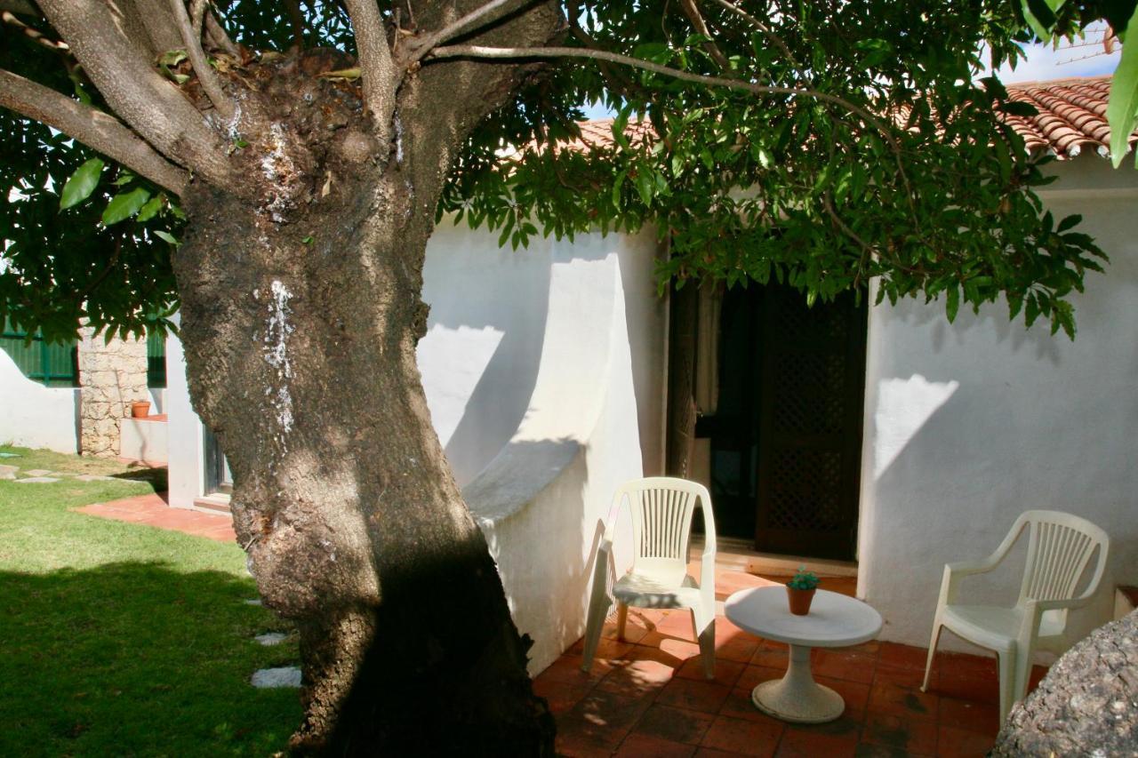 Villa Jacaranda - 550M From The Beach - Free Wifi - By Bedzy Albufeira Dış mekan fotoğraf