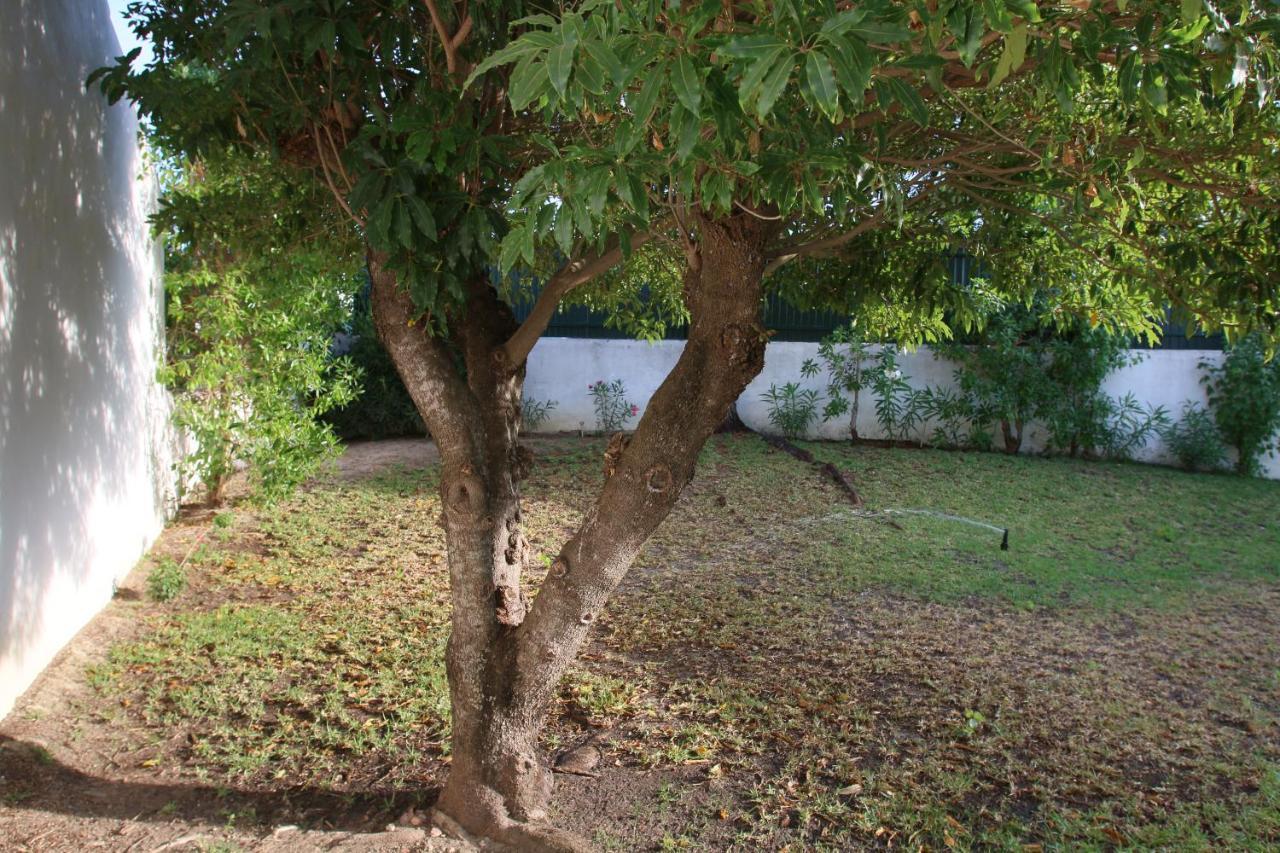 Villa Jacaranda - 550M From The Beach - Free Wifi - By Bedzy Albufeira Dış mekan fotoğraf